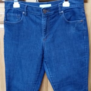 Ann Taylor Loft Modern Skinny Jeans 29/8P Dark Wash